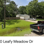 LEAFY MEADOW DR Conroe Texas 77302